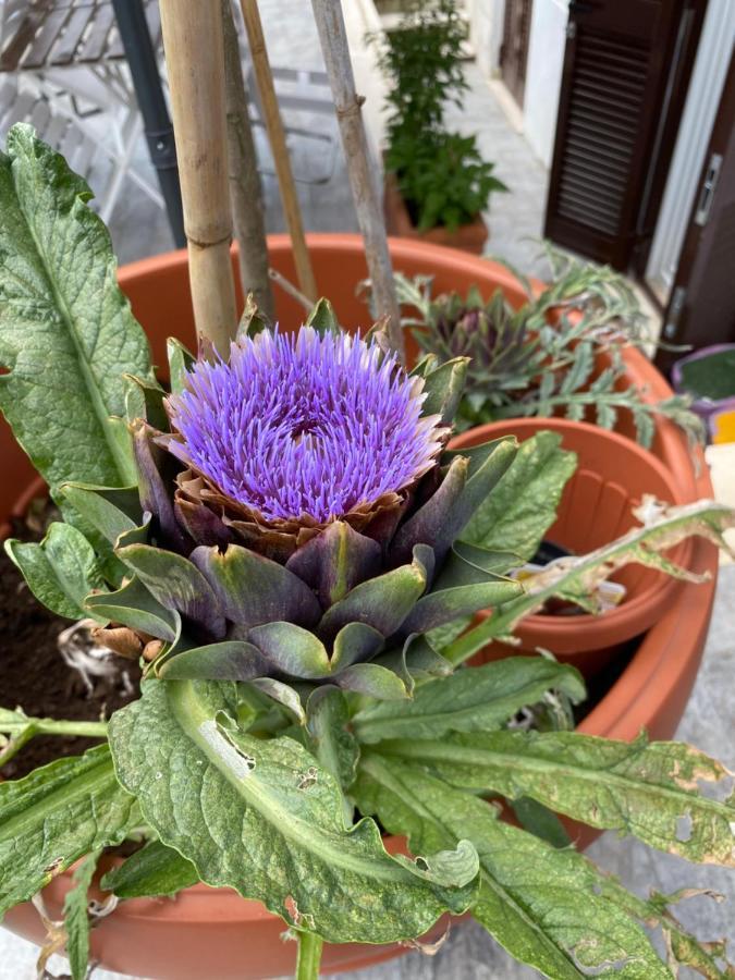Officinale Rome Apartment, Pineta Sacchetti ภายนอก รูปภาพ