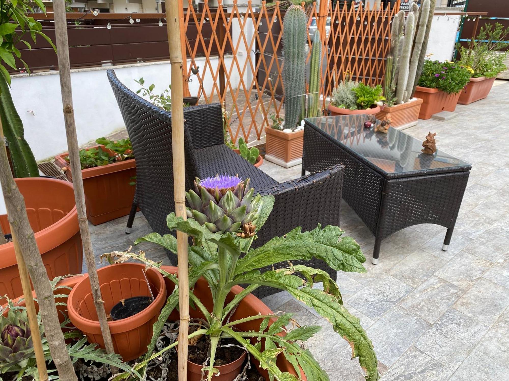 Officinale Rome Apartment, Pineta Sacchetti ภายนอก รูปภาพ
